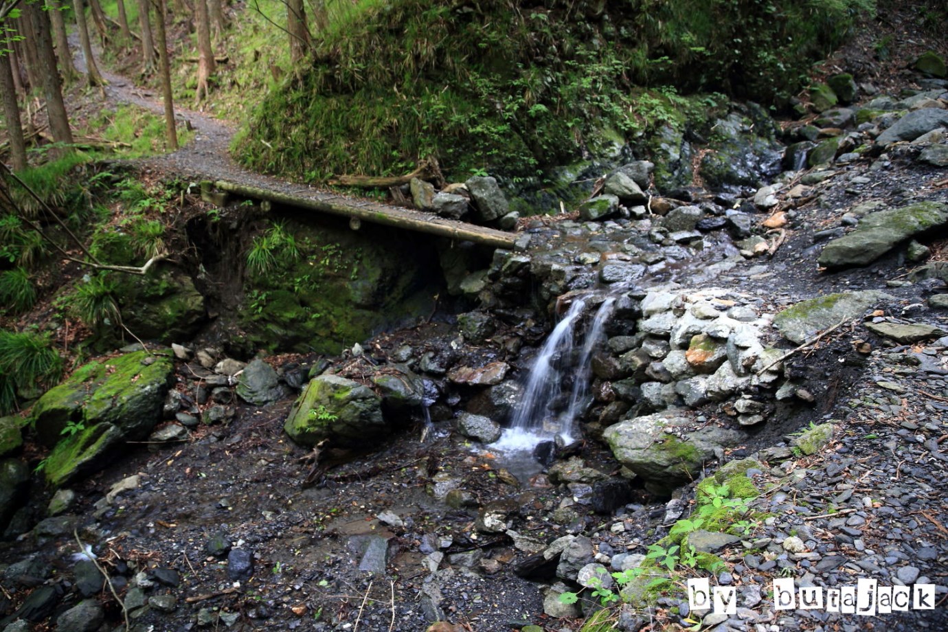 e0220828_21411471.jpg