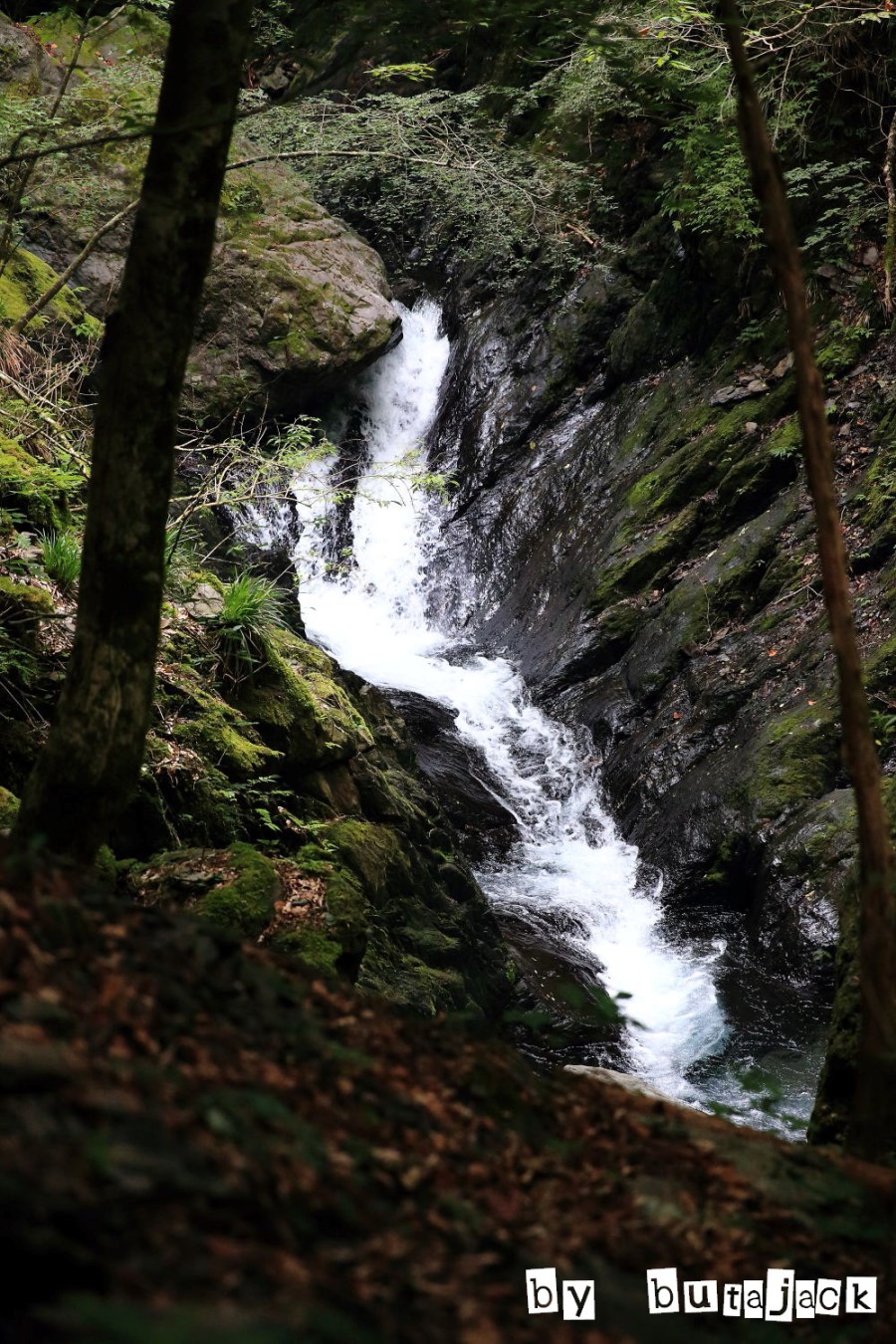 e0220828_21413742.jpg