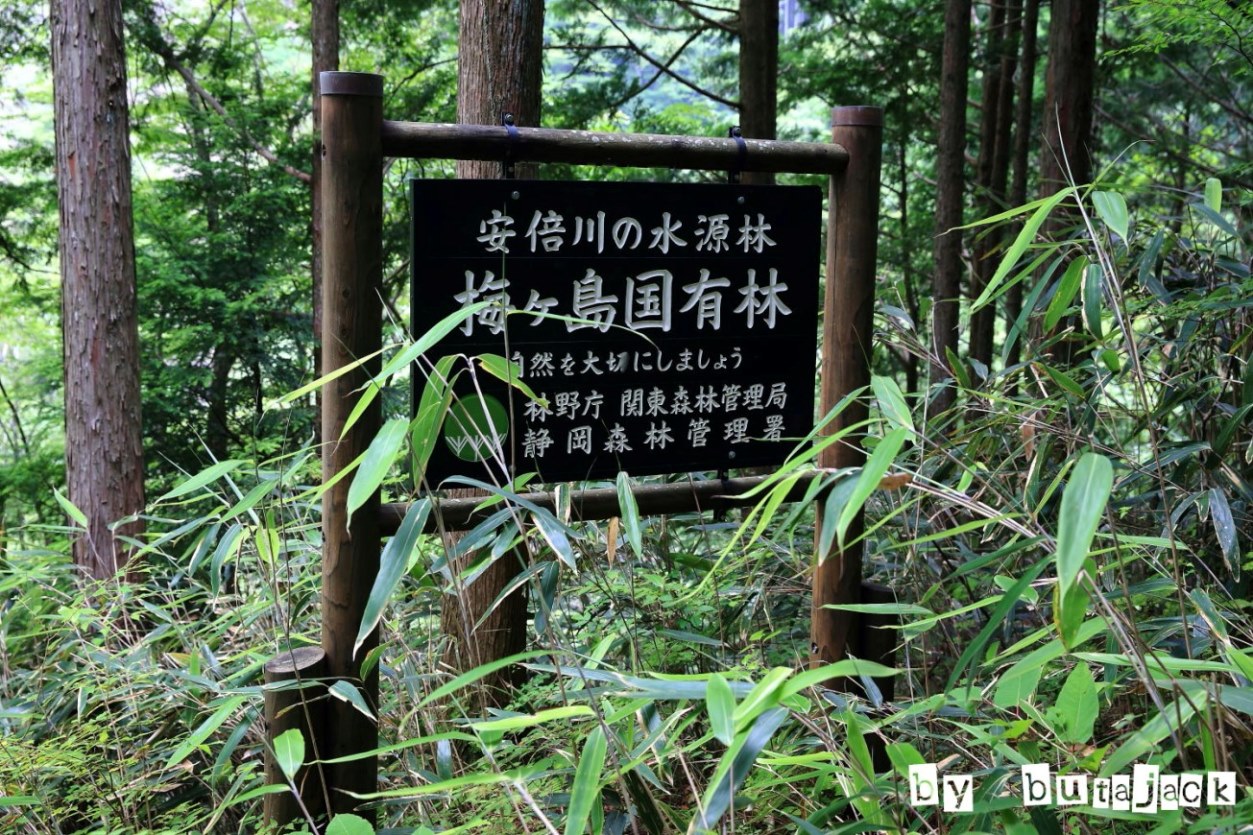e0220828_2141456.jpg