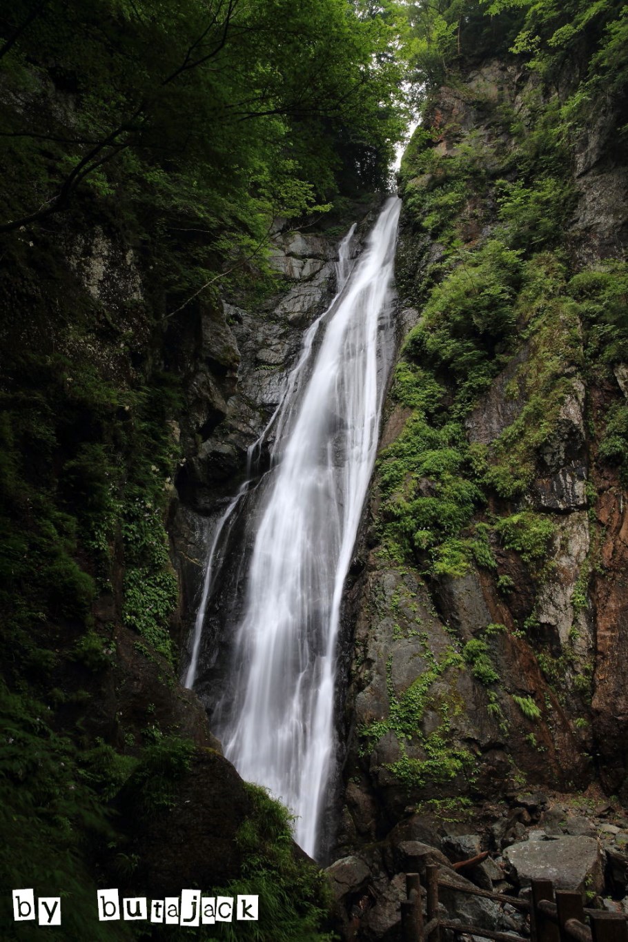 e0220828_21415660.jpg