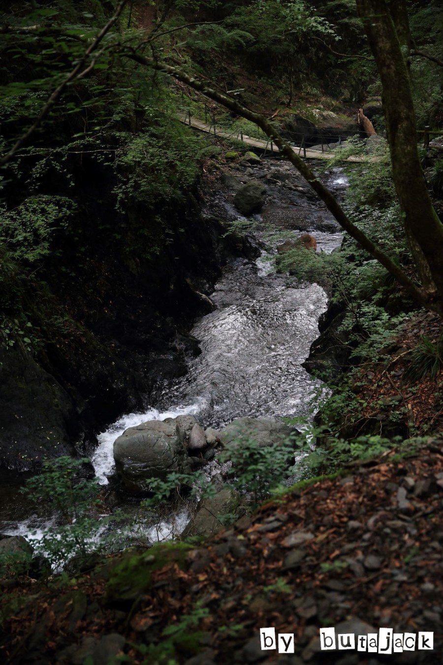 e0220828_21422567.jpg