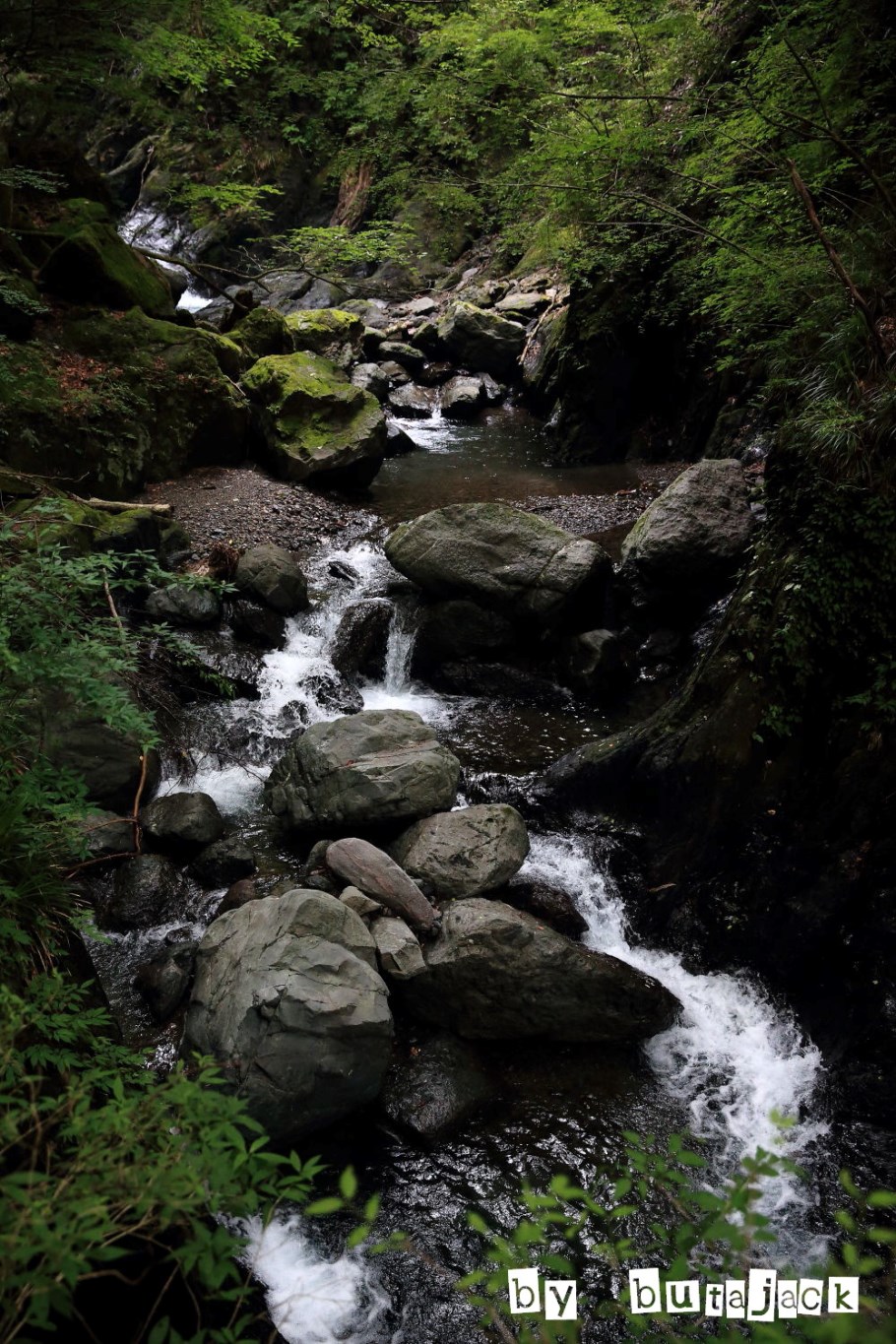 e0220828_21423532.jpg