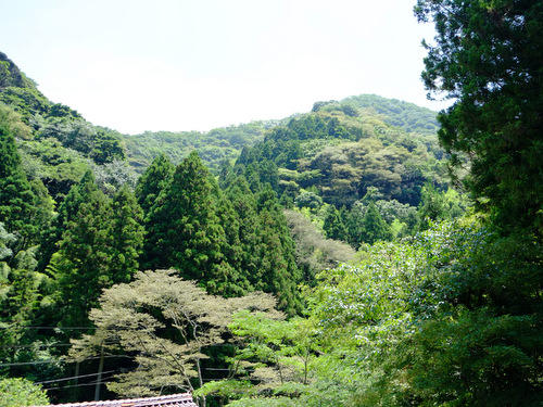 「島根 世界遺産 石見銀山へ行ってきました」_a0000029_21461013.jpg