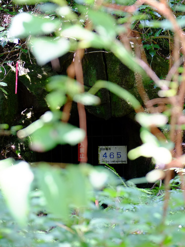 「島根 世界遺産 石見銀山へ行ってきました」_a0000029_2147397.jpg