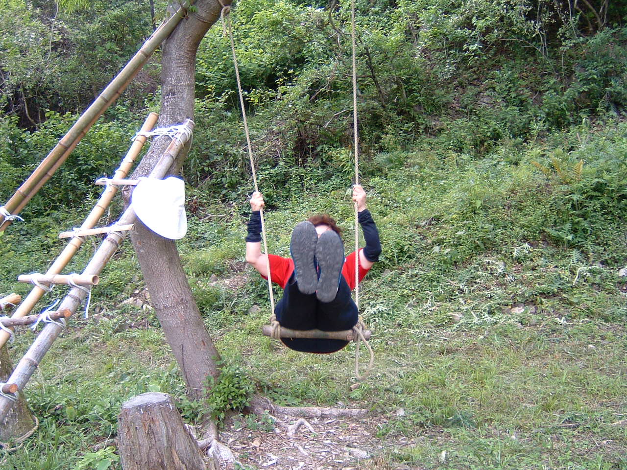 大人のブランコ遊び In 孝子の森 みさき里山クラブ 活動紹介 大人のブランコ遊び In 孝子の森 みさき里山クラブ 活動紹介