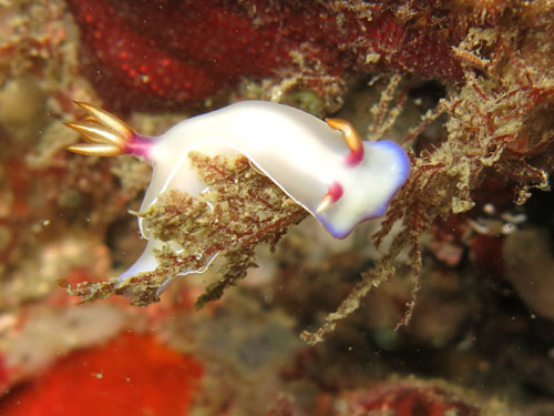 2013年7月30日(火・曇り)甲浦_d0164831_1782882.jpg