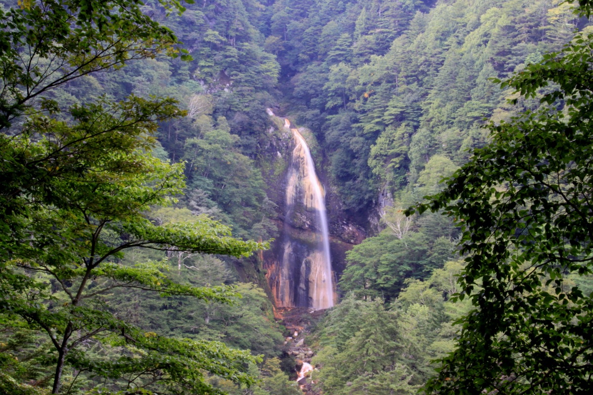 a0203733_9581667.jpg
