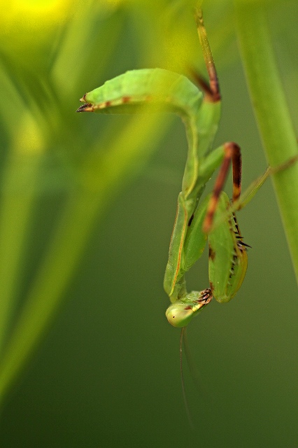 a0242438_2110565.jpg