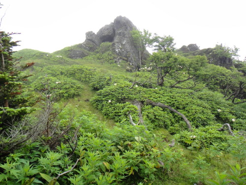 ２０１３年７月２１～２５日　燧ケ岳　尾瀬　日光白根山_c0179351_9212331.jpg