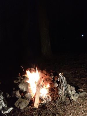 f0226152_19462515.jpg
