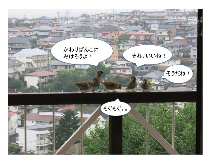 今年の1年生_c0260460_1753182.jpg