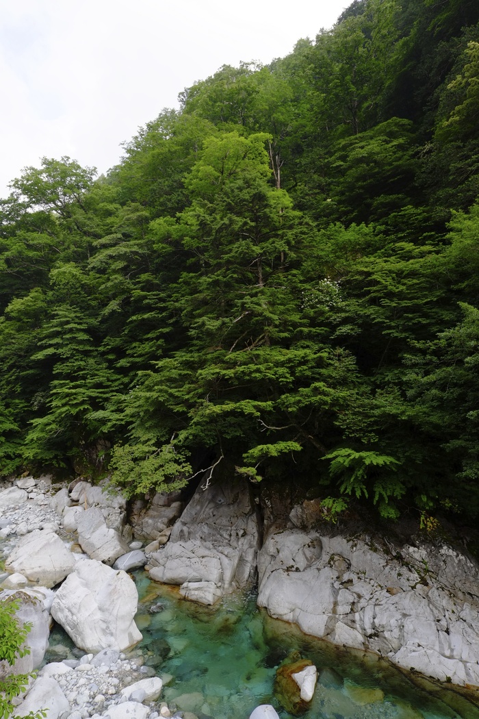 d0269062_1823312.jpg