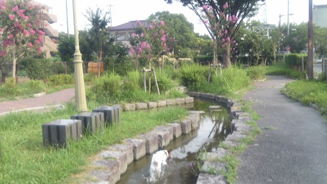 f0100871_1153199.jpg