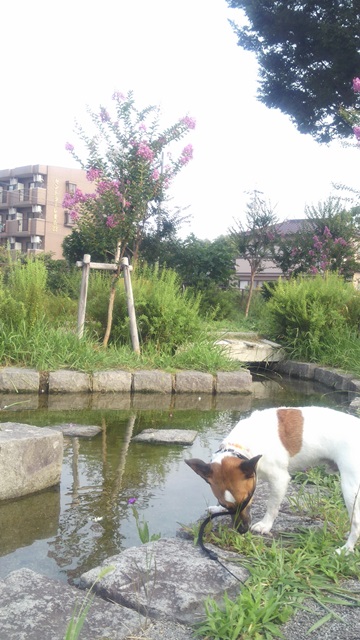 f0100871_1203917.jpg