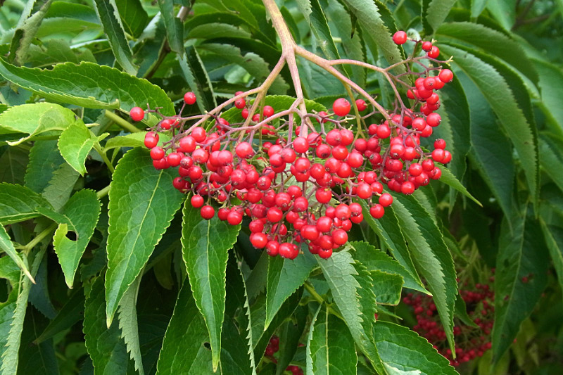 e0100772_22173790.jpg