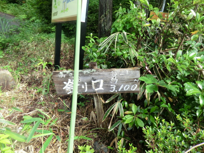 No302　越美山地東部　大展望の高賀山_b0185573_20491367.jpg