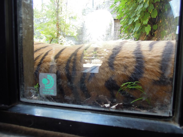 北海道旅行記　～旭山動物園編～_f0045283_23345427.jpg