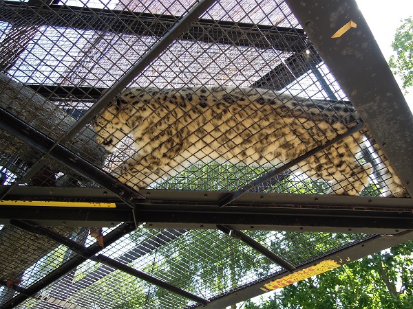 北海道旅行記　～旭山動物園編～_f0045283_23362348.jpg