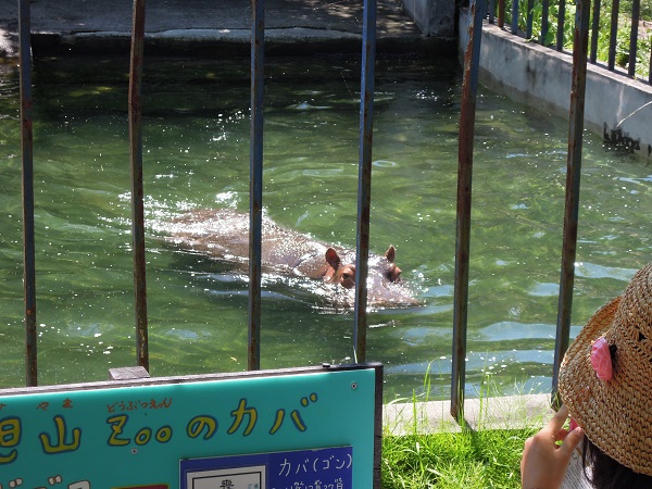 北海道旅行記　～旭山動物園編～_f0045283_23594045.jpg