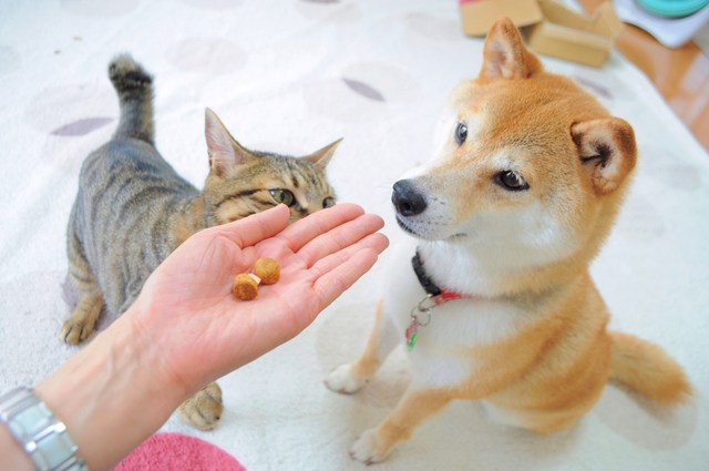 お薬ペロリ_a0126590_7523262.jpg