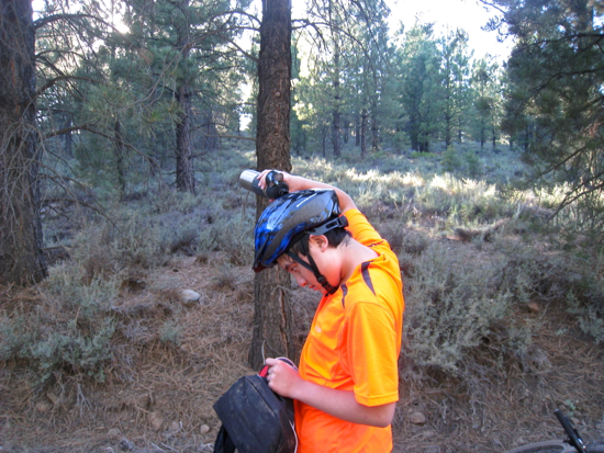 e0326991_81224.jpg