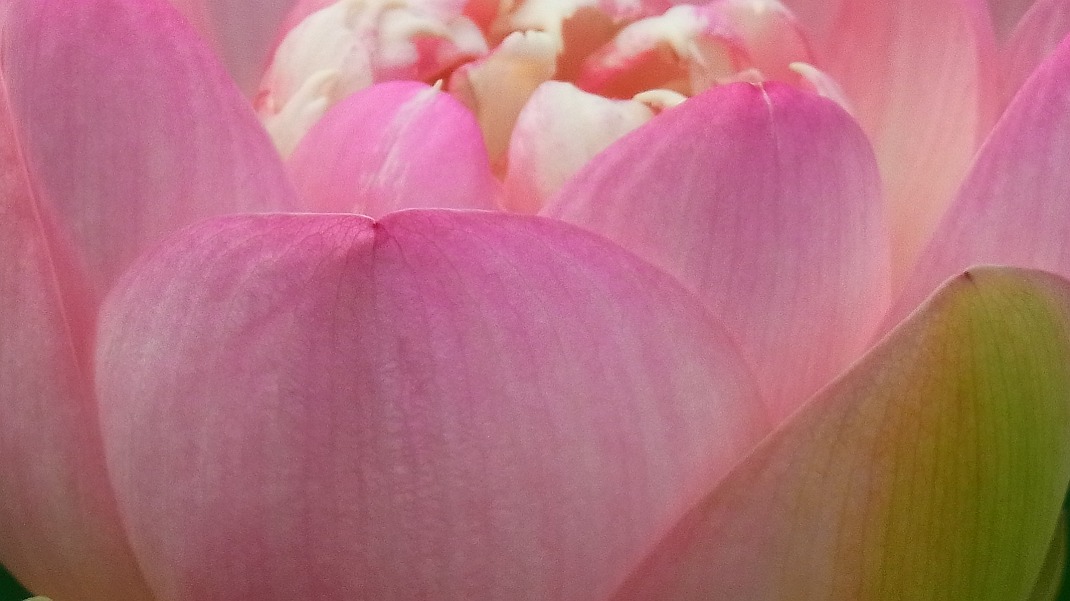 a0152692_18211520.jpg