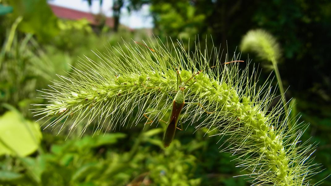 a0152692_18342393.jpg