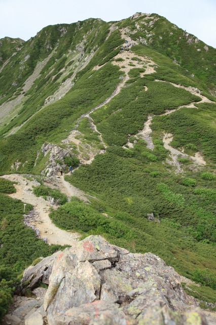 南アルプス応援ツアー＠花の仙丈ケ岳　2013.7.27(土)～28(日)_c0213096_21534163.jpg