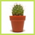 c0074000_17184514.gif
