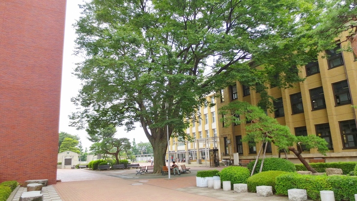 日本大学_b0163804_9552879.jpg