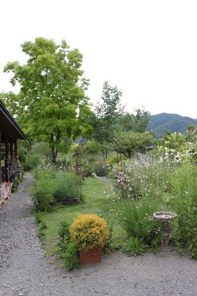 b0284407_114305.jpg