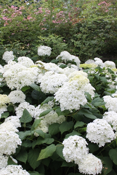 b0284407_11465834.jpg