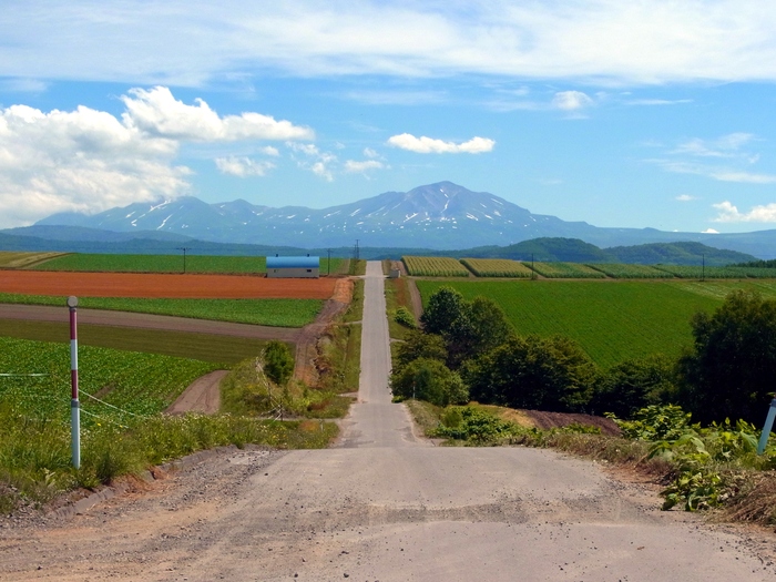 北海道、就実の丘へ_d0116009_122363.jpg
