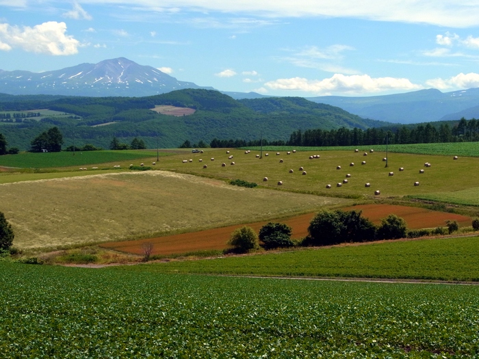 北海道、就実の丘へ_d0116009_1242729.jpg