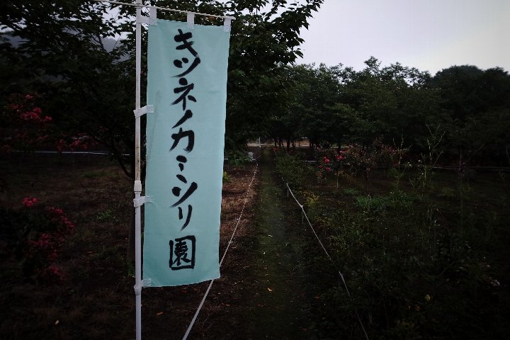 a0268412_20241567.jpg
