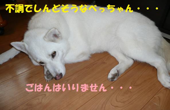 f0121712_16214521.jpg
