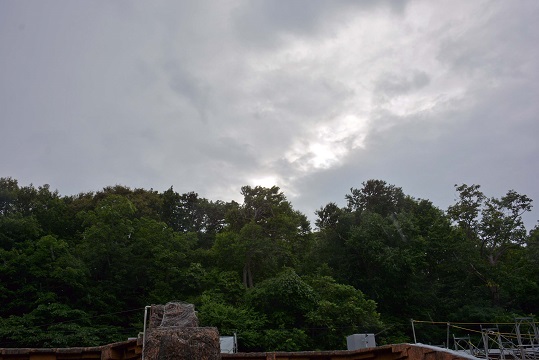 a0151913_3425138.jpg