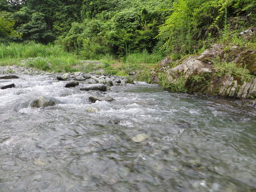 b0121015_12581738.jpg