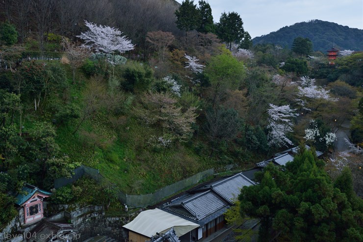 京都 清水寺 ～桜～_d0319222_10473366.jpg