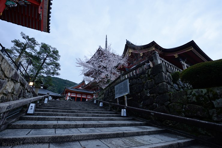 京都 清水寺 ～桜～_d0319222_10474224.jpg