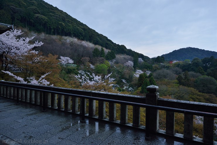 京都 清水寺 ～桜～_d0319222_1047622.jpg