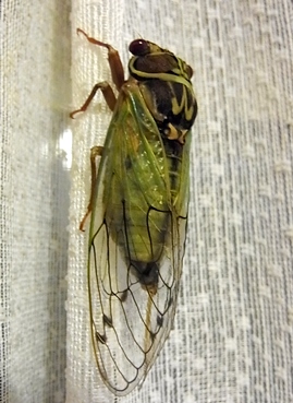 c0204725_084095.jpg