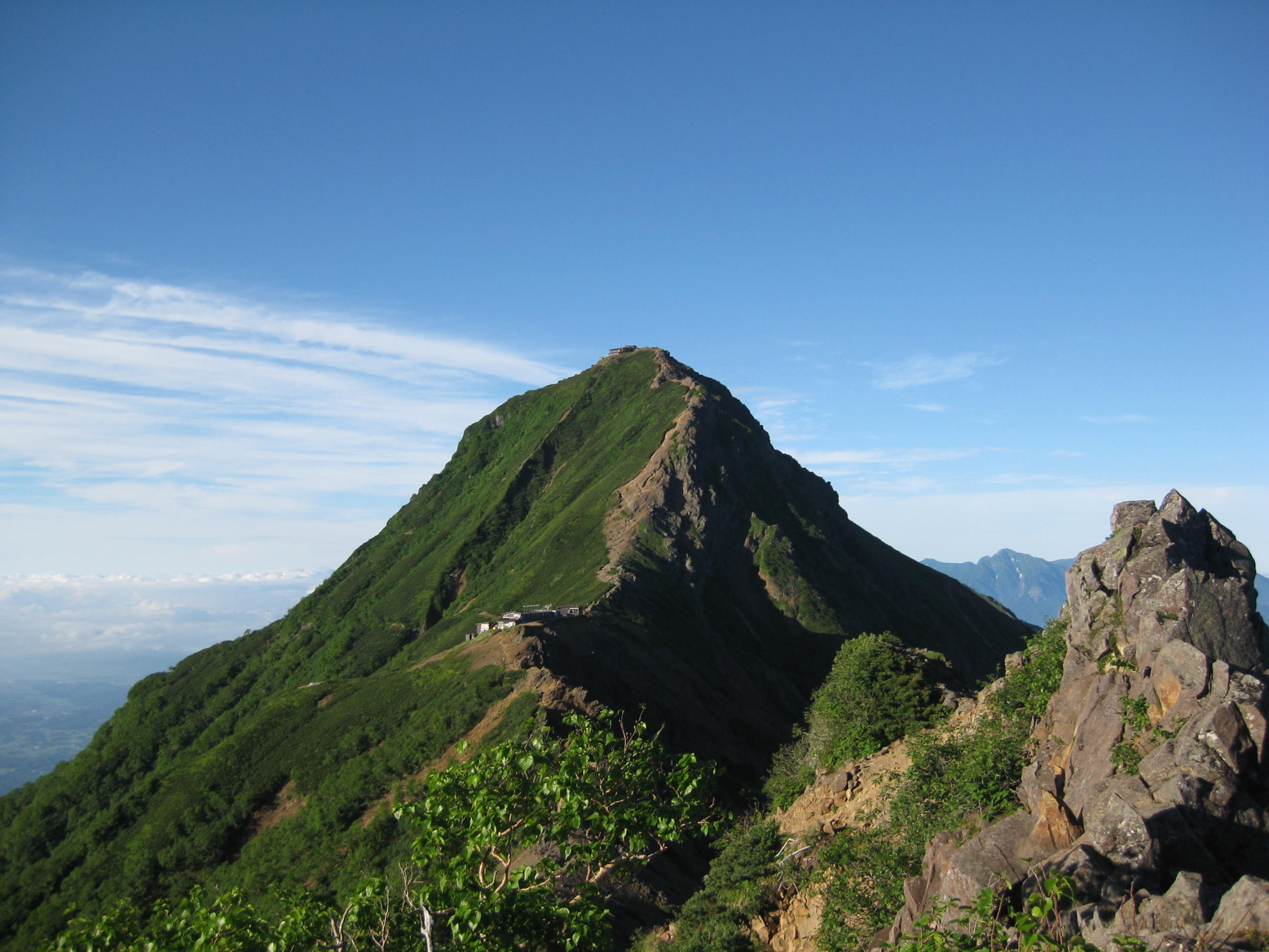 a0158236_20132454.jpg
