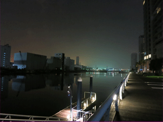 a0019747_461093.gif