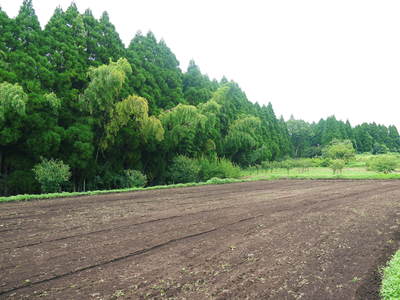 菊池水源里山ニンジン さぁ!いよいよ種蒔きです!!_a0254656_16192548.jpg