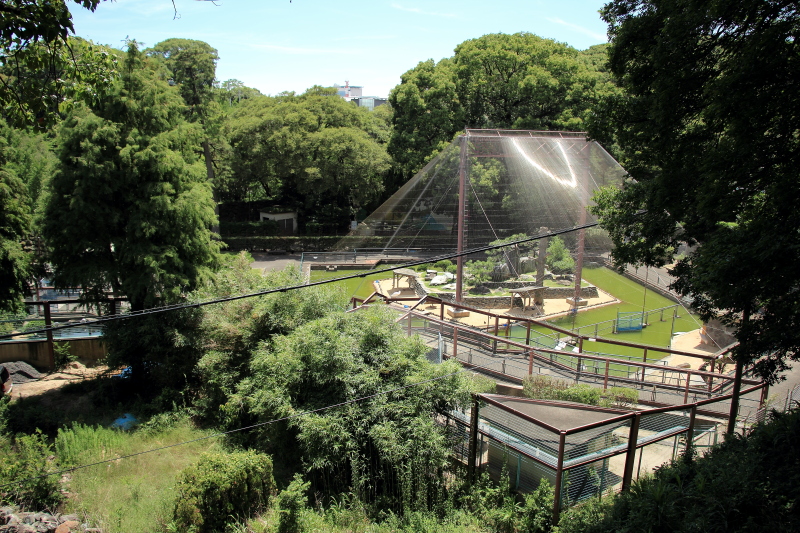 和歌山城の動物園_c0272958_0381833.jpg