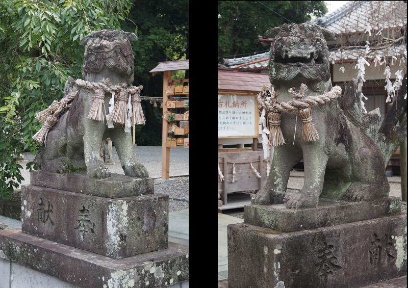 真っ白い社殿と大楠を擁する武雄神社_b0123359_2293561.jpg