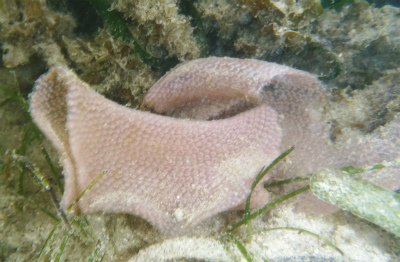 c0180460_14626.jpg