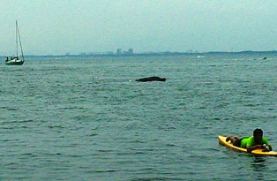 c0248467_9343651.jpg
