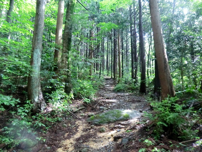 b0185573_13303469.jpg